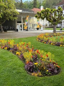 WhatsApp Bild 2025-05-04 um 21.00.37_04ebd8df